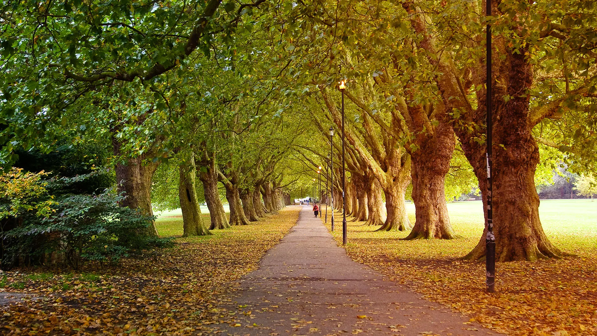 Park in Cambridge