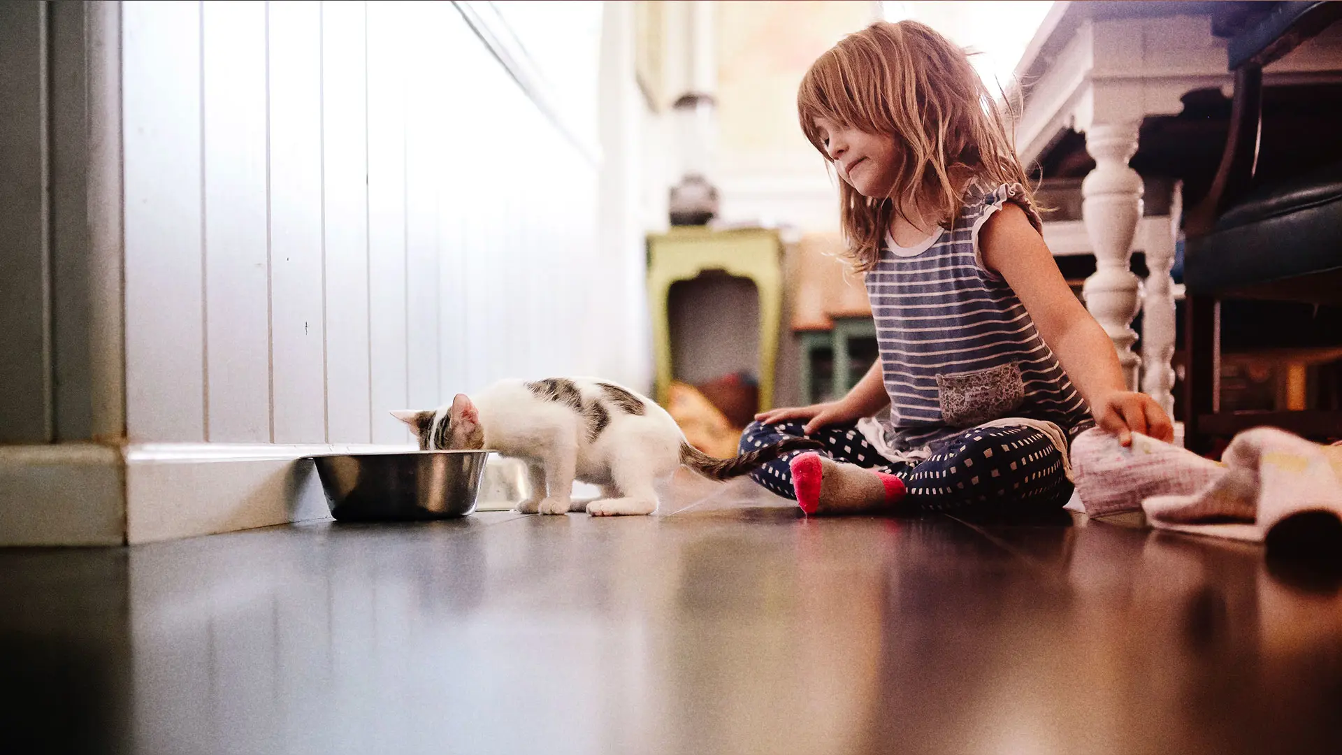 Child with cat